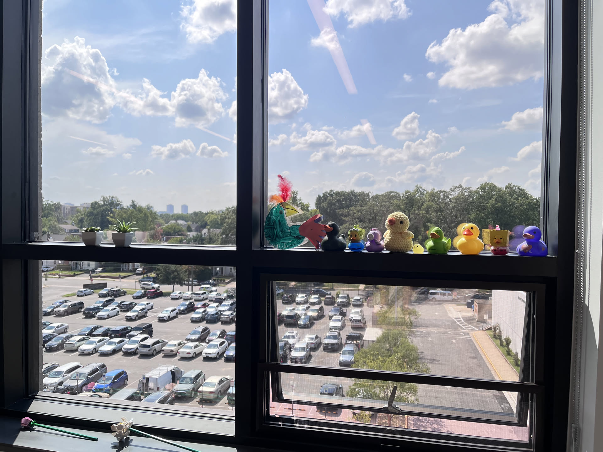 View of the skyline from my window. Mostly trees and the Ballston skyline.