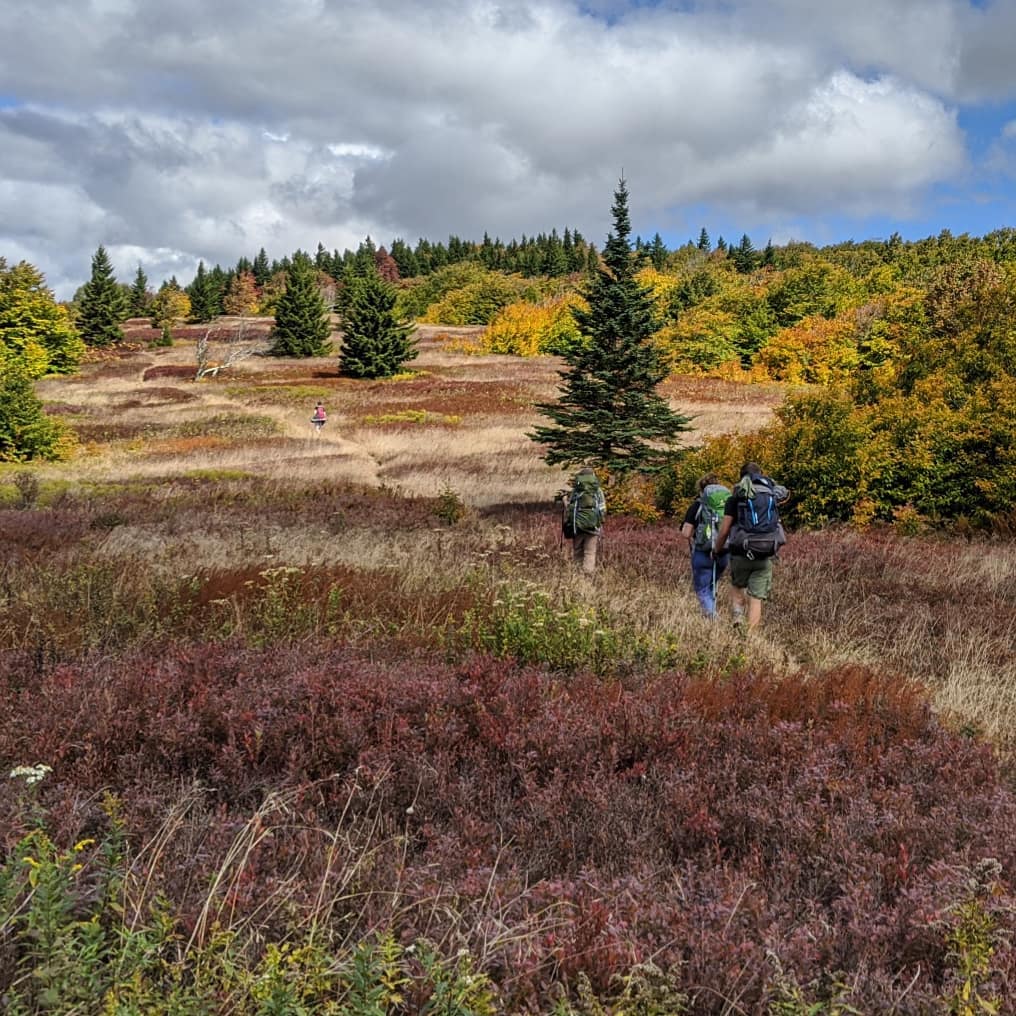 A group of friends hiking in the Dolly Sods Wilderness