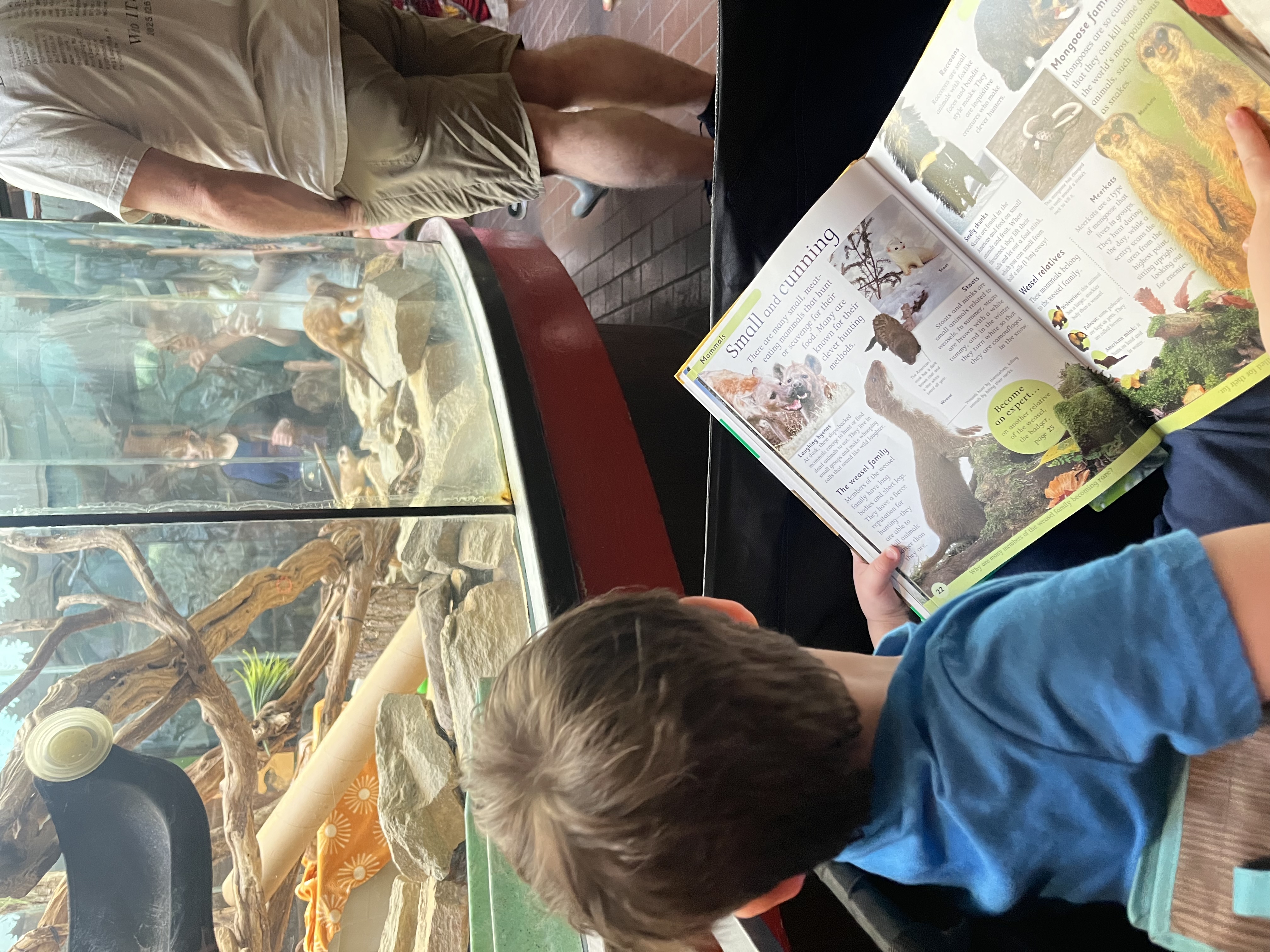 Hero image from post about Children's Books For Tough Conversations